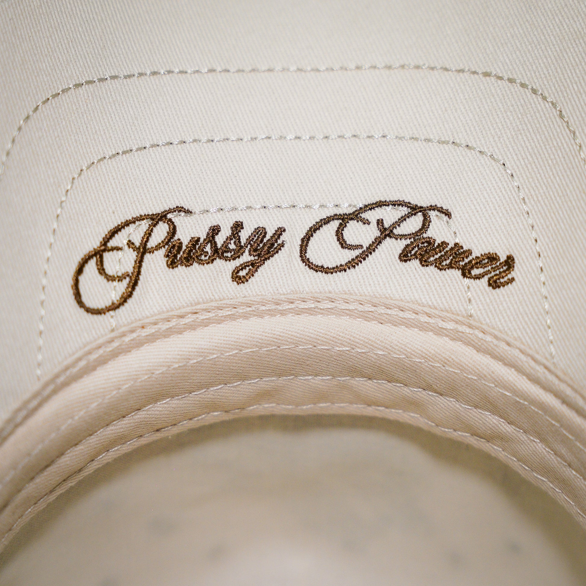 P*SSY POWER TRUCKER HAT